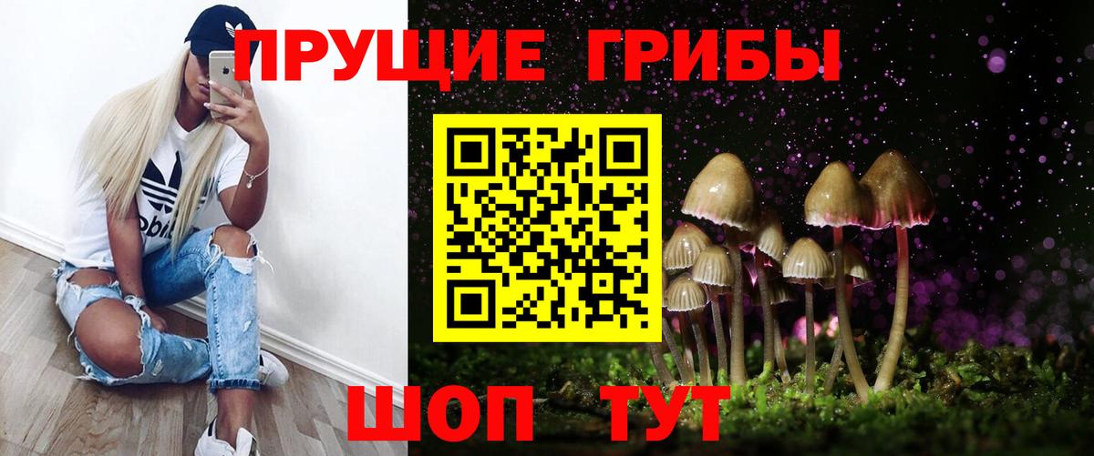 Кудрово  Псилоцибиновые грибы Cubensis  Вход с VPN 