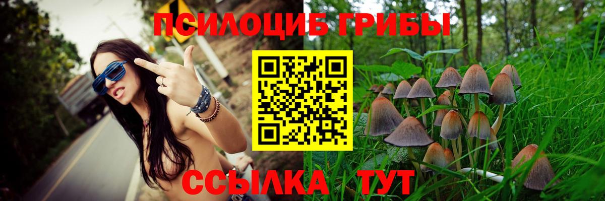 Псилоцибиновые грибы MAGIC MUSHROOMS Кудрово